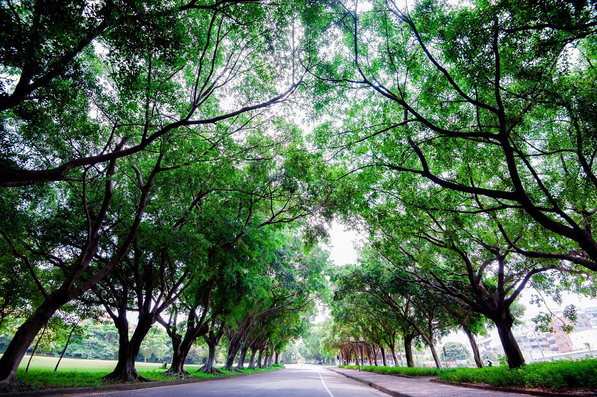 banner_041
